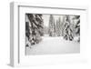 USA, Washington State, Crystal Mountain area. Winter snow.-Savanah Stewart-Framed Photographic Print