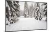 USA, Washington State, Crystal Mountain area. Winter snow.-Savanah Stewart-Mounted Photographic Print