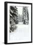 USA, Washington State, Crystal Mountain area. Winter snow.-Savanah Stewart-Framed Photographic Print