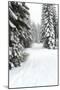 USA, Washington State, Crystal Mountain area. Winter snow.-Savanah Stewart-Mounted Photographic Print