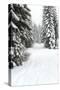 USA, Washington State, Crystal Mountain area. Winter snow.-Savanah Stewart-Stretched Canvas
