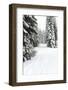 USA, Washington State, Crystal Mountain area. Winter snow.-Savanah Stewart-Framed Photographic Print