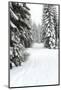 USA, Washington State, Crystal Mountain area. Winter snow.-Savanah Stewart-Mounted Photographic Print