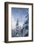 Usa, Washington State, Crystal Mountain. Icicles and snow-covered trees, viewed through window-Merrill Images-Framed Photographic Print