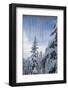 Usa, Washington State, Crystal Mountain. Icicles and snow-covered trees, viewed through window-Merrill Images-Framed Photographic Print