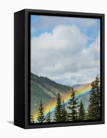 Usa, Washington State, Crystal Mountain. Rainbow in valley through trees.-Merrill Images-Framed Stretched Canvas