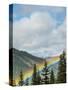 Usa, Washington State, Crystal Mountain. Rainbow in valley through trees.-Merrill Images-Stretched Canvas