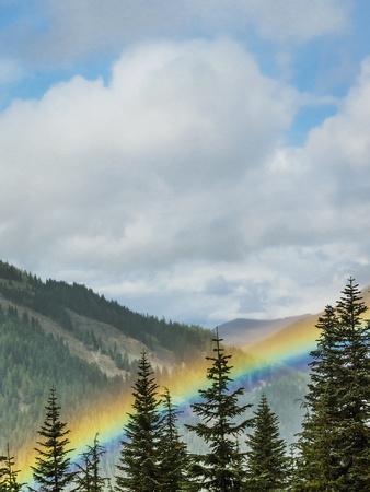 rainbow merrills