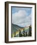 Usa, Washington State, Crystal Mountain. Rainbow in valley through trees.-Merrill Images-Framed Photographic Print