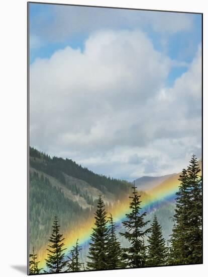 Usa, Washington State, Crystal Mountain. Rainbow in valley through trees.-Merrill Images-Mounted Photographic Print