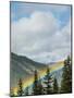 Usa, Washington State, Crystal Mountain. Rainbow in valley through trees.-Merrill Images-Mounted Photographic Print