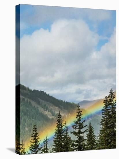 Usa, Washington State, Crystal Mountain. Rainbow in valley through trees.-Merrill Images-Stretched Canvas