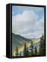 Usa, Washington State, Crystal Mountain. Rainbow in valley through trees.-Merrill Images-Framed Stretched Canvas