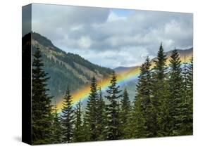 Usa, Washington State, Crystal Mountain. Rainbow in valley through trees.-Merrill Images-Stretched Canvas