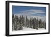 Usa, Washington State, Crystal Mountain. Snow-covered trees and edge of ski run.-Merrill Images-Framed Photographic Print