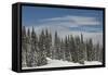 Usa, Washington State, Crystal Mountain. Snow-covered trees and edge of ski run.-Merrill Images-Framed Stretched Canvas