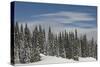 Usa, Washington State, Crystal Mountain. Snow-covered trees and edge of ski run.-Merrill Images-Stretched Canvas