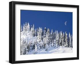 Usa, Washington State, Crystal Mountain. Snow covered trees and moon in blue sky.-Merrill Images-Framed Photographic Print