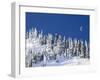 Usa, Washington State, Crystal Mountain. Snow covered trees and moon in blue sky.-Merrill Images-Framed Photographic Print