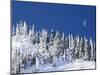 Usa, Washington State, Crystal Mountain. Snow covered trees and moon in blue sky.-Merrill Images-Mounted Photographic Print