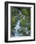Usa, Washington State, Crystal Mountain. Waterfall at Elizabeth Creek with moss on boulders.-Merrill Images-Framed Premium Photographic Print