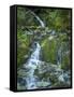 Usa, Washington State, Crystal Mountain. Waterfall at Elizabeth Creek with moss on boulders.-Merrill Images-Framed Stretched Canvas