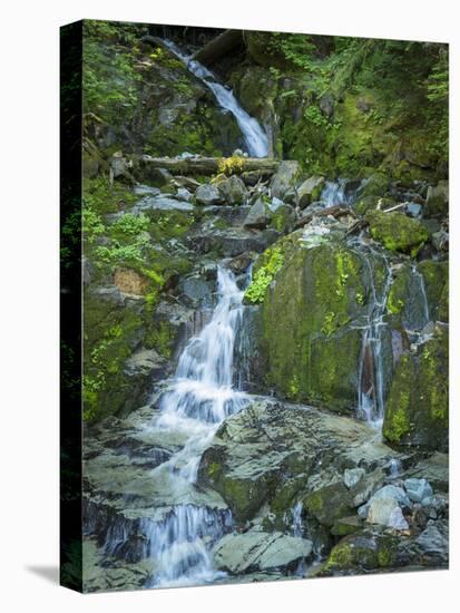 Usa, Washington State, Crystal Mountain. Waterfall at Elizabeth Creek with moss on boulders.-Merrill Images-Stretched Canvas