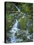 Usa, Washington State, Crystal Mountain. Waterfall at Elizabeth Creek with moss on boulders.-Merrill Images-Stretched Canvas