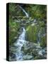 Usa, Washington State, Crystal Mountain. Waterfall at Elizabeth Creek with moss on boulders.-Merrill Images-Stretched Canvas