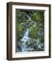 Usa, Washington State, Crystal Mountain. Waterfall at Elizabeth Creek with moss on boulders.-Merrill Images-Framed Photographic Print