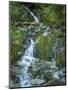 Usa, Washington State, Crystal Mountain. Waterfall at Elizabeth Creek with moss on boulders.-Merrill Images-Mounted Photographic Print