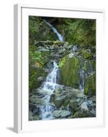 Usa, Washington State, Crystal Mountain. Waterfall at Elizabeth Creek with moss on boulders.-Merrill Images-Framed Photographic Print