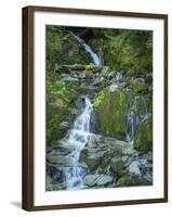 Usa, Washington State, Crystal Mountain. Waterfall at Elizabeth Creek with moss on boulders.-Merrill Images-Framed Photographic Print