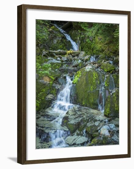 Usa, Washington State, Crystal Mountain. Waterfall at Elizabeth Creek with moss on boulders.-Merrill Images-Framed Photographic Print