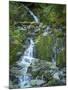 Usa, Washington State, Crystal Mountain. Waterfall at Elizabeth Creek with moss on boulders.-Merrill Images-Mounted Photographic Print