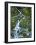 Usa, Washington State, Crystal Mountain. Waterfall at Elizabeth Creek with moss on boulders.-Merrill Images-Framed Photographic Print