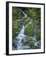 Usa, Washington State, Crystal Mountain. Waterfall at Elizabeth Creek with moss on boulders.-Merrill Images-Framed Premium Photographic Print