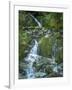 Usa, Washington State, Crystal Mountain. Waterfall at Elizabeth Creek with moss on boulders.-Merrill Images-Framed Photographic Print