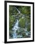 Usa, Washington State, Crystal Mountain. Waterfall at Elizabeth Creek with moss on boulders.-Merrill Images-Framed Photographic Print