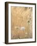 USA, Washington State, Dewatto. Queen Anne's lace in summer and dried grasses.-Jaynes Gallery-Framed Photographic Print