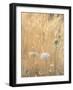 USA, Washington State, Dewatto. Queen Anne's lace in summer and dried grasses.-Jaynes Gallery-Framed Photographic Print