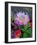 Usa, Washington State, Duvall. Purple Garden dahlia in bouquet of cut flowers-Merrill Images-Framed Photographic Print