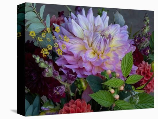 Usa, Washington State, Duvall. Purple Garden dahlia in bouquet of cut flowers-Merrill Images-Stretched Canvas