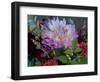 Usa, Washington State, Duvall. Purple Garden dahlia in bouquet of cut flowers-Merrill Images-Framed Photographic Print