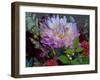 Usa, Washington State, Duvall. Purple Garden dahlia in bouquet of cut flowers-Merrill Images-Framed Photographic Print