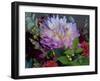 Usa, Washington State, Duvall. Purple Garden dahlia in bouquet of cut flowers-Merrill Images-Framed Photographic Print