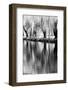 USA, Washington State, Eastern Washington. Weeping willow tree reflecting in pond-Terry Eggers-Framed Photographic Print
