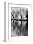 USA, Washington State, Eastern Washington. Weeping willow tree reflecting in pond-Terry Eggers-Framed Photographic Print