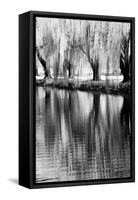 USA, Washington State, Eastern Washington. Weeping willow tree reflecting in pond-Terry Eggers-Framed Stretched Canvas