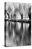 USA, Washington State, Eastern Washington. Weeping willow tree reflecting in pond-Terry Eggers-Stretched Canvas